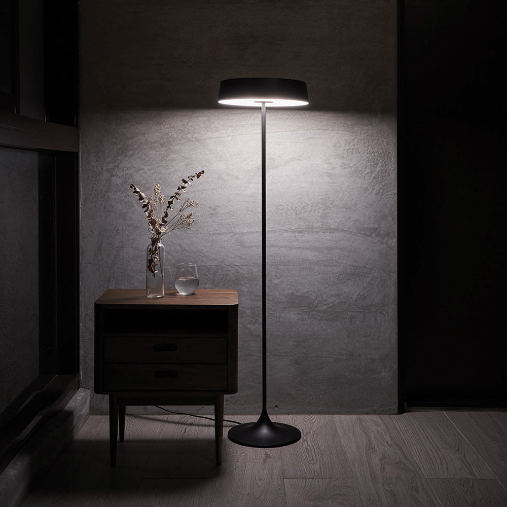 China LED Floor Lamp - Matte Black