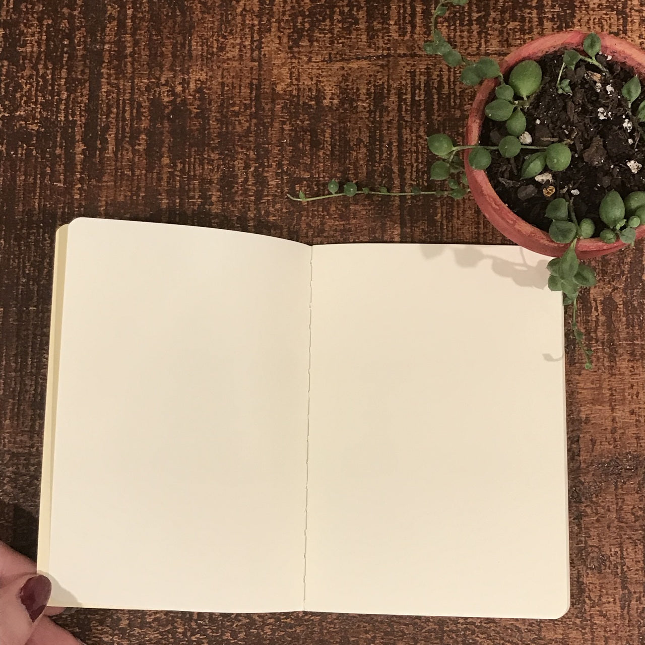 Pencil Notebook