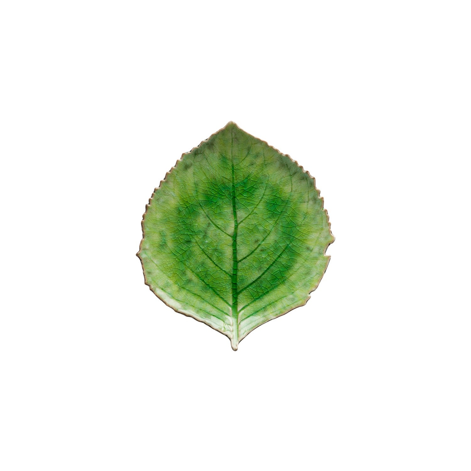 Hydrangea Leaf plate - Riviera tomato